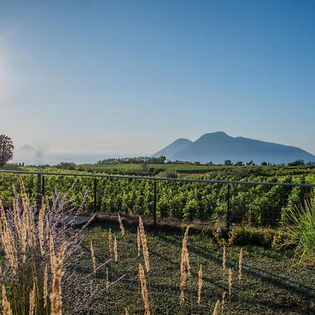 Tenuta Di Castellaro Winery & Resort Lipari  Exterior photo