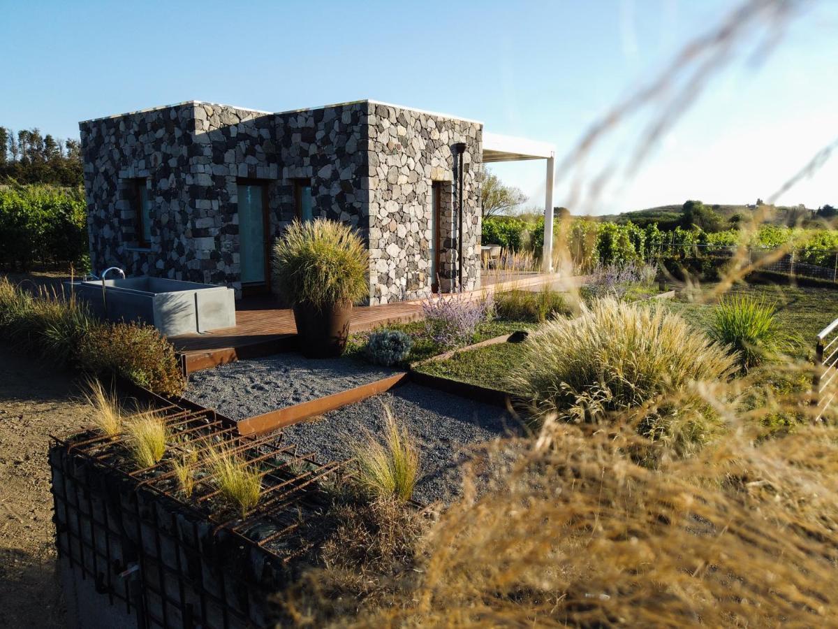 Tenuta Di Castellaro Winery & Resort Lipari  Exterior photo